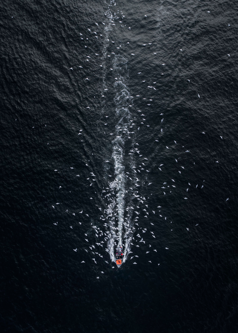 Imagen: Drone Hikers / Skypixel